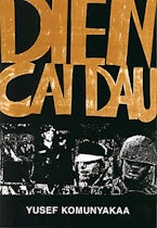 Dien Cai Dau