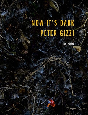 The Afterlife of Paper - Peter Gizzi